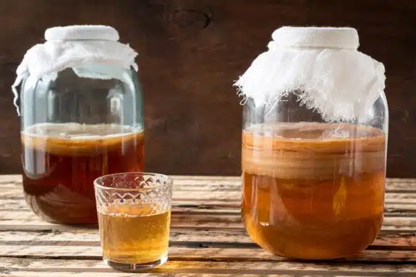 Créer sa propre mère de kombucha : astuces et conseils pour une fermentation réussie